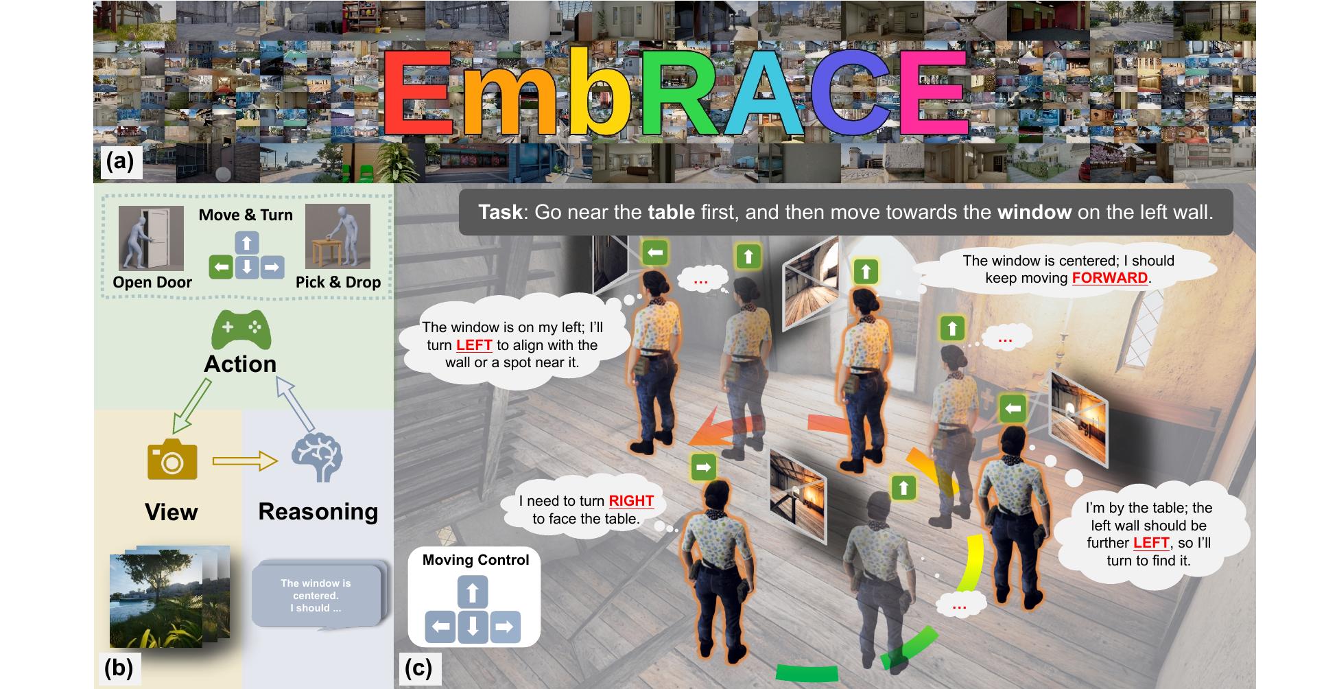 EmbRACE teaser